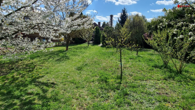 Zahrada se zděnou chatou a bazénem, pozemek 1373 m2 #6