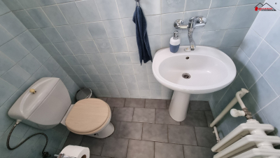 Rodinný dům 5+kk se zahradou a garáží, po část.  rekonstrukci, CP 165 m2, k pronájmu #16