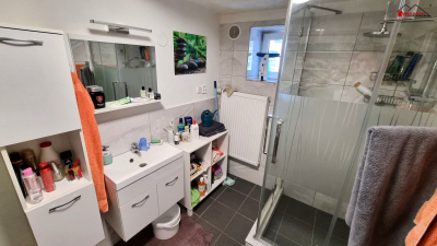 Rodinný dům 3+kk a 4+1, garáž, zahradní domek se sklepem, zahrada,  pozemek 357 m2 #10